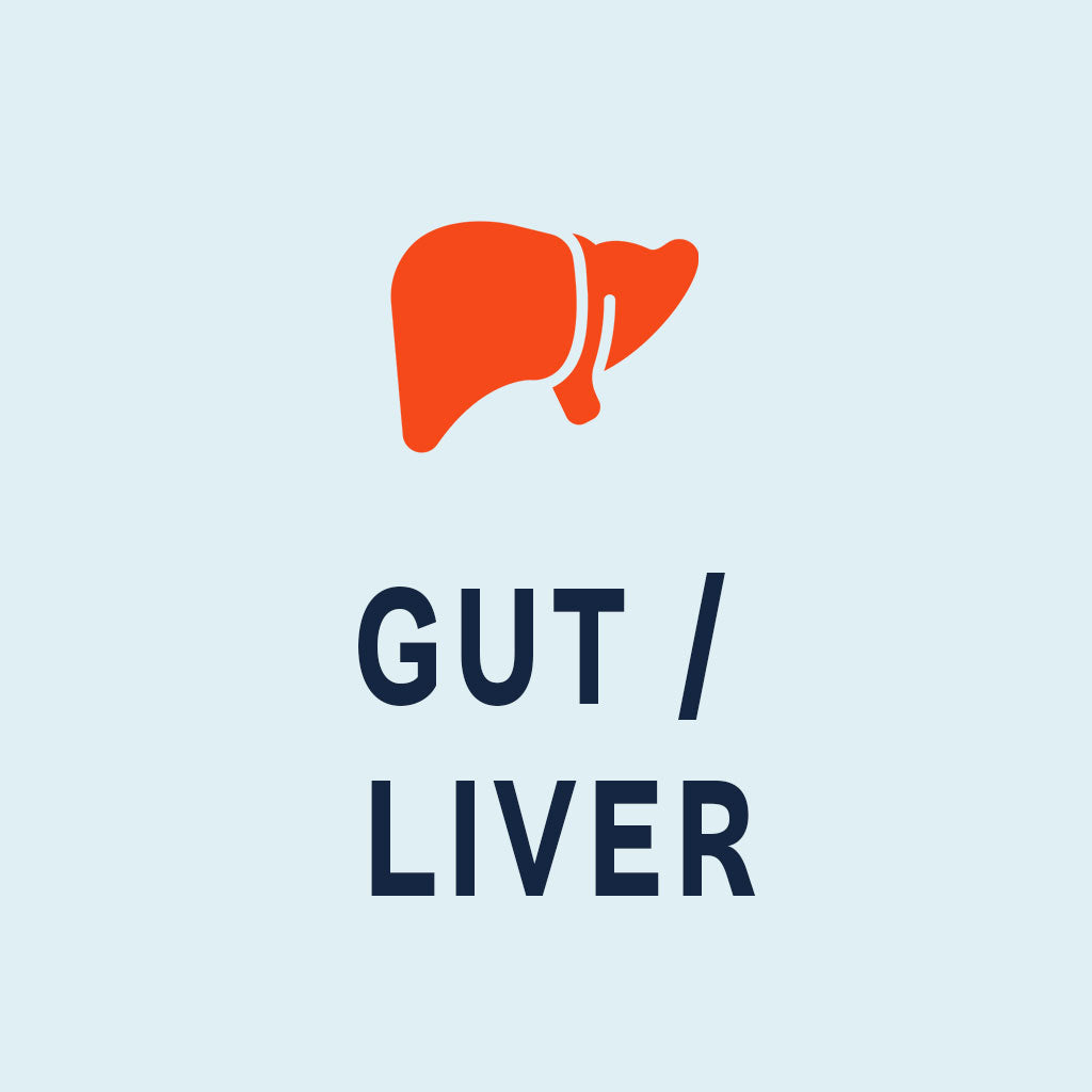 Gut / Liver